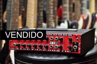 Walter Woods Electracoustic M-100